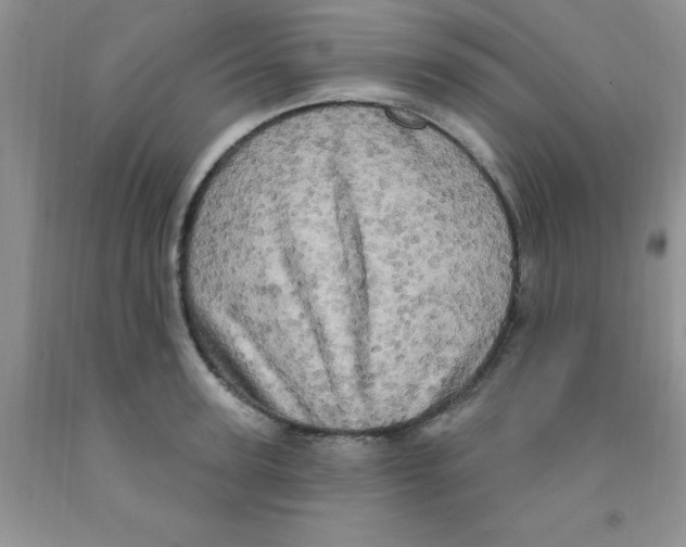 X0000091350947200709071236