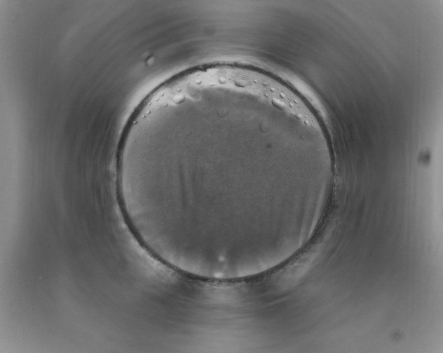 X0000091350951200709071236