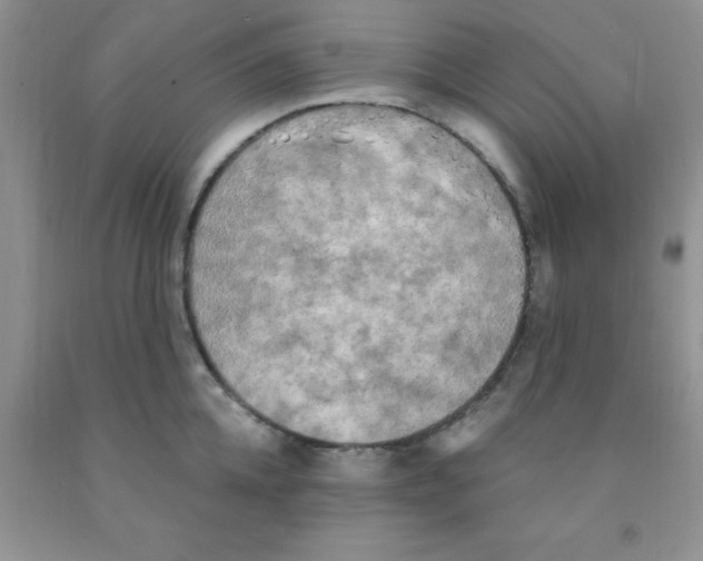 X0000091350952200709071236