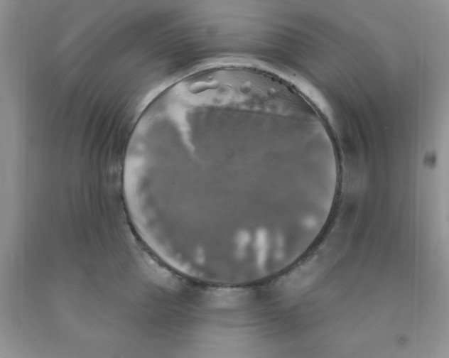 X0000091350953200709071236