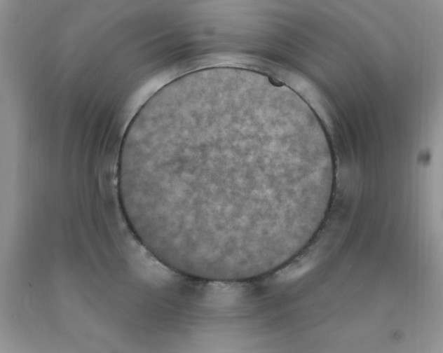 X0000091350954200709071236