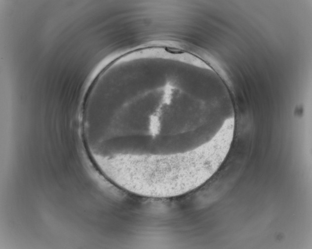 X0000091350955200709071236