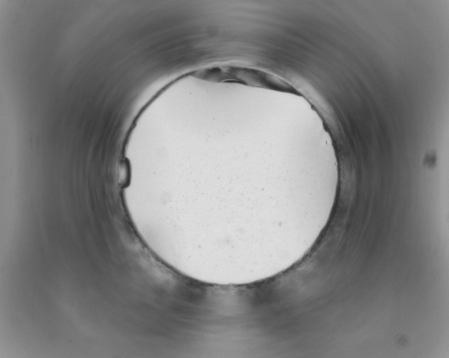 X0000091350956200709071236