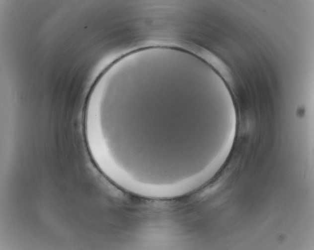 X0000091350958200709071236