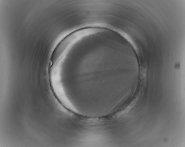 X0000091350959200709071236