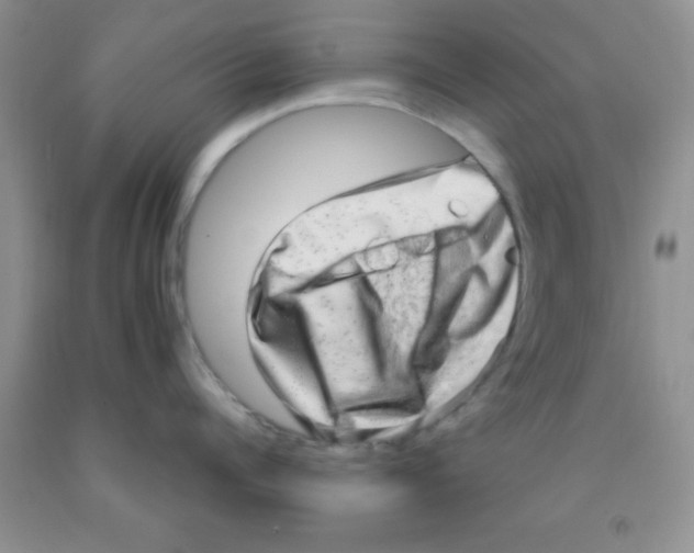 X0000091350960200709071236