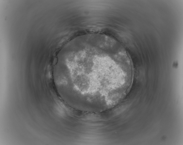 X0000091350962200709071235