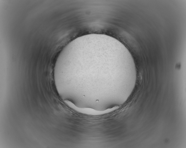 X0000091350964200709071235