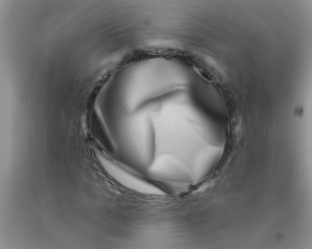 X0000091350965200709071235