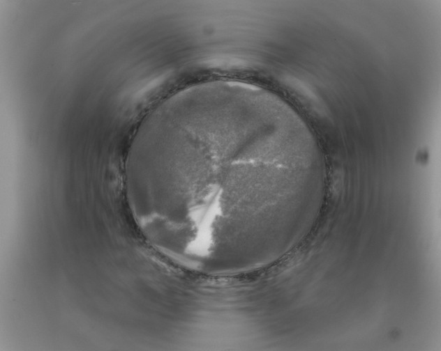 X0000091350966200709071235