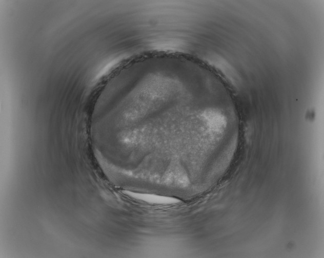 X0000091350968200709071235