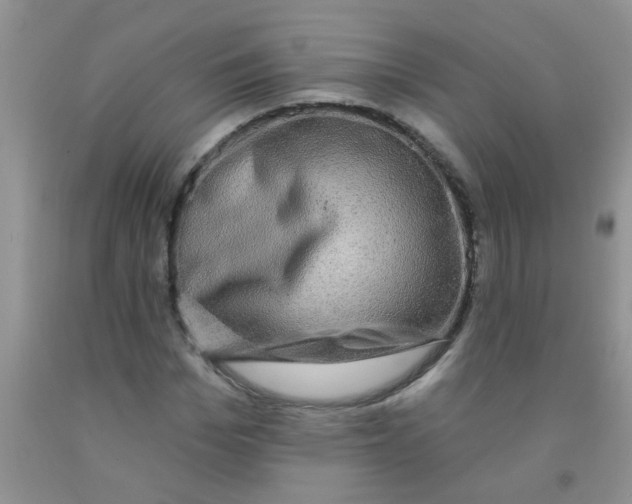 X0000091350969200709071235