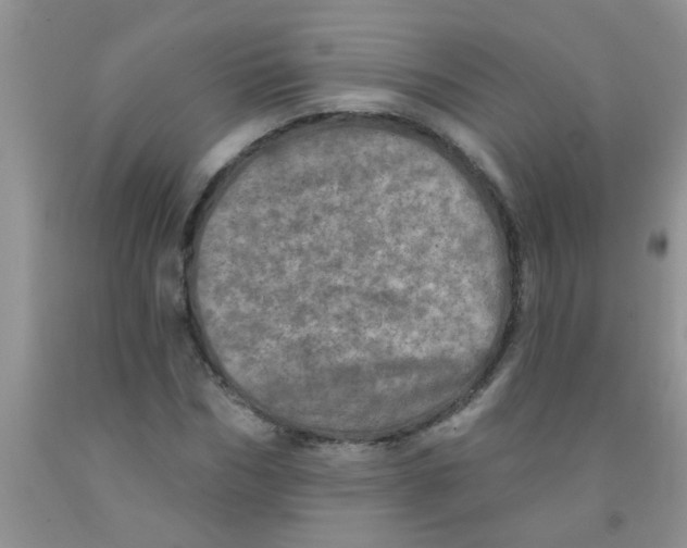 X0000091350970200709071235