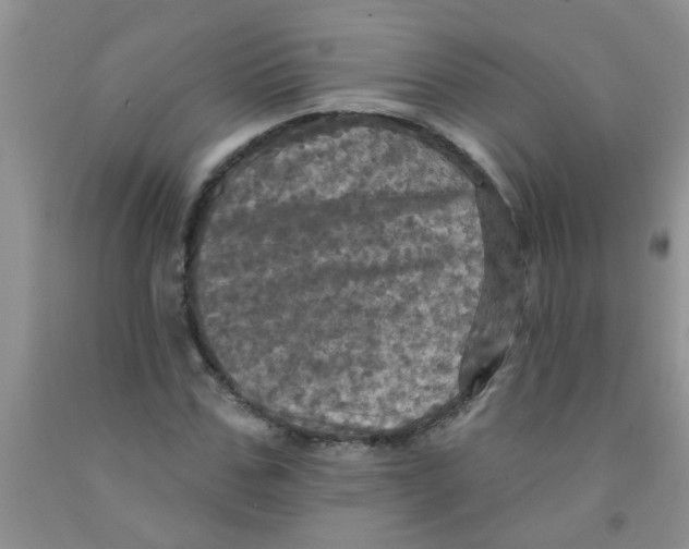 X0000091350971200709071235