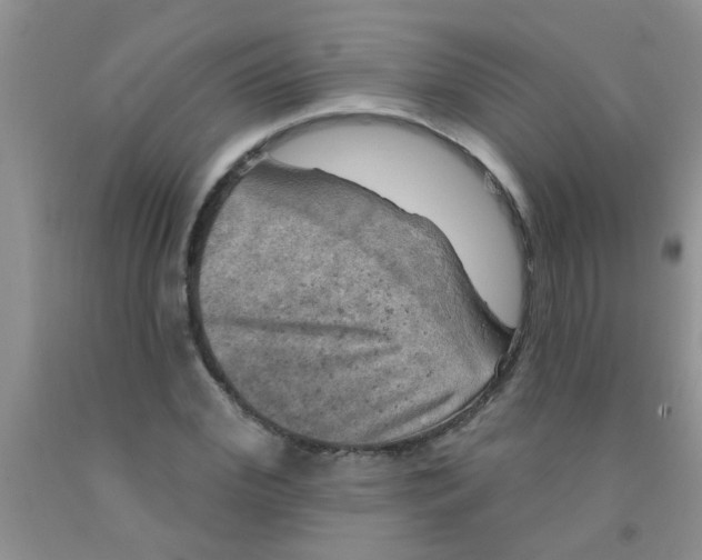X0000091350972200709071235