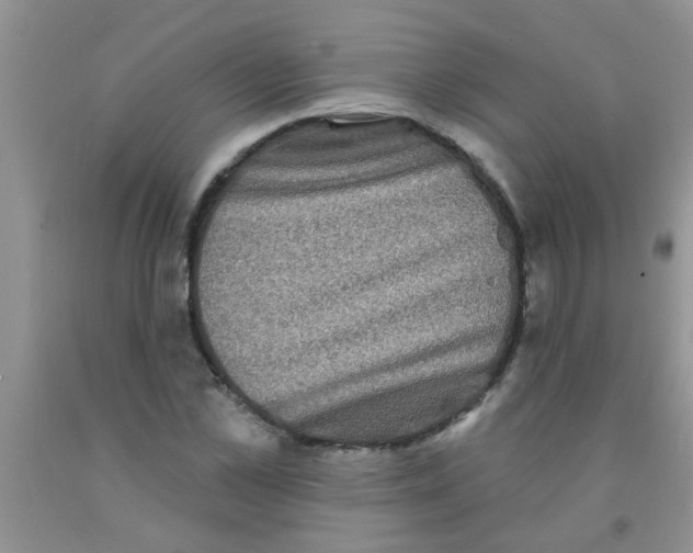 X0000091350973200709071235