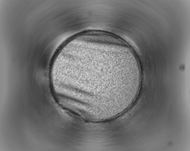 X0000091350976200709071235