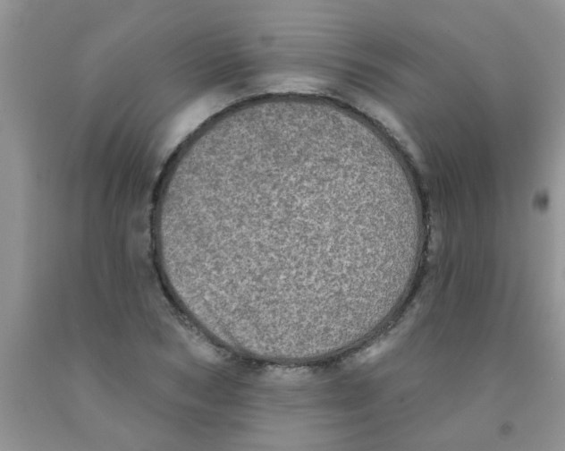X0000091350978200709071235