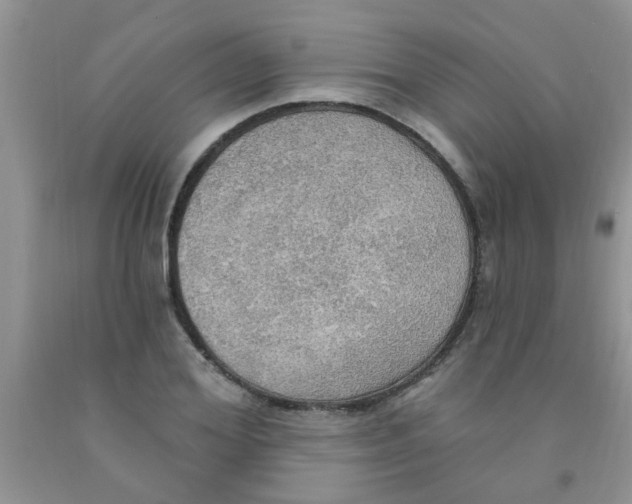 X0000091350980200709071235