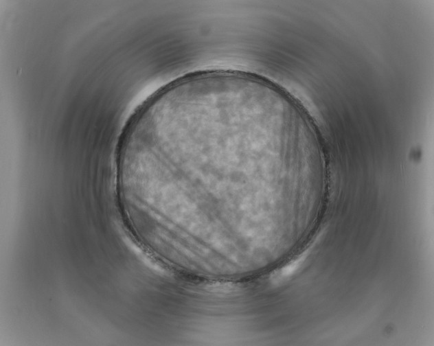 X0000091350982200709071235