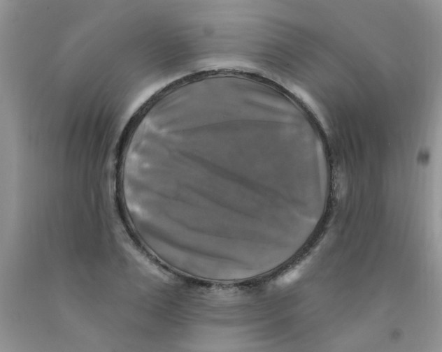 X0000091350983200709071235
