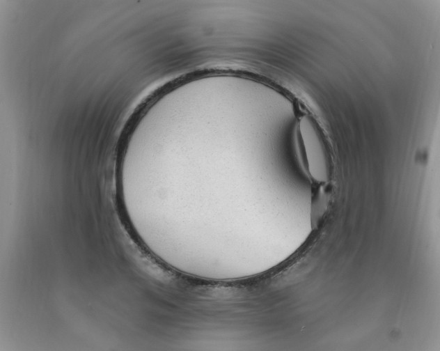 X0000091350984200709071235