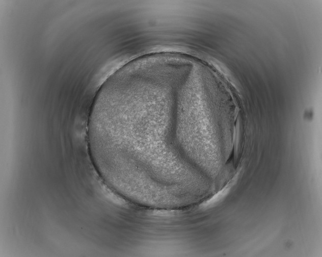 X0000091350985200709071235