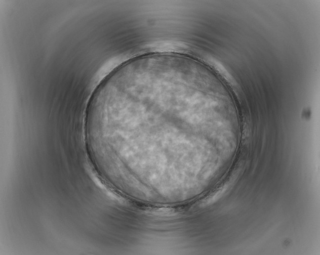 X0000091350986200709071235