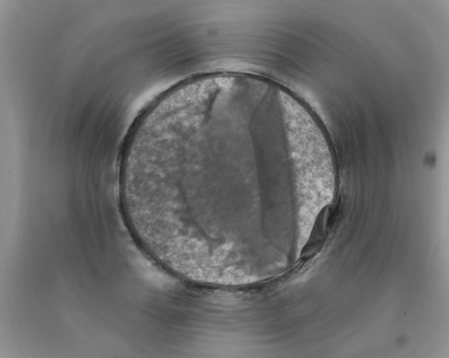 X0000091350987200709071235