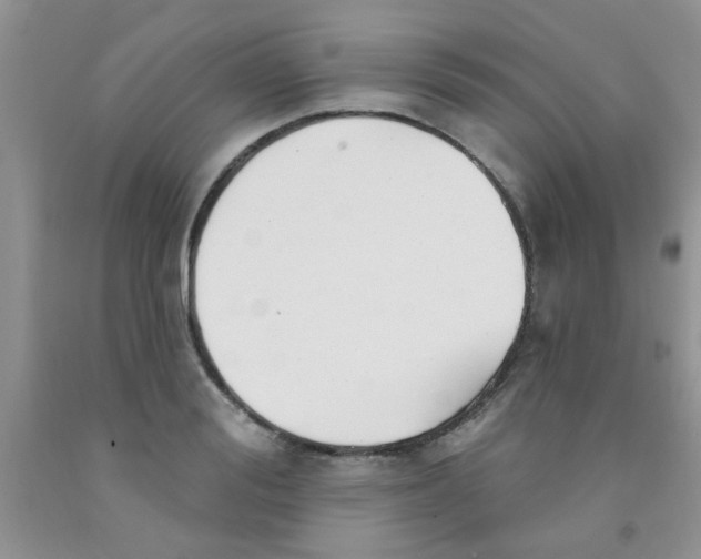 X0000091350988200709071235