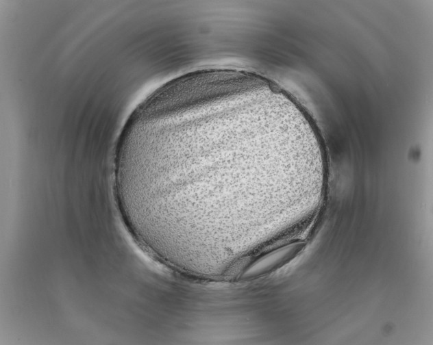 X0000091350989200709071235