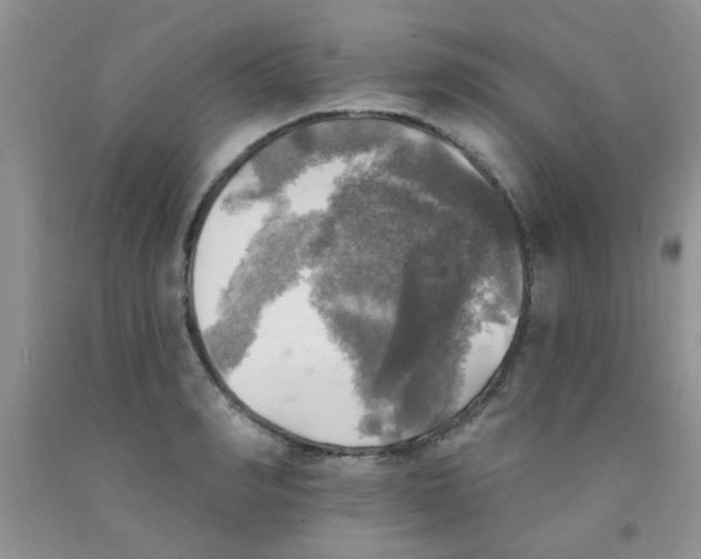 X0000091350990200709071235