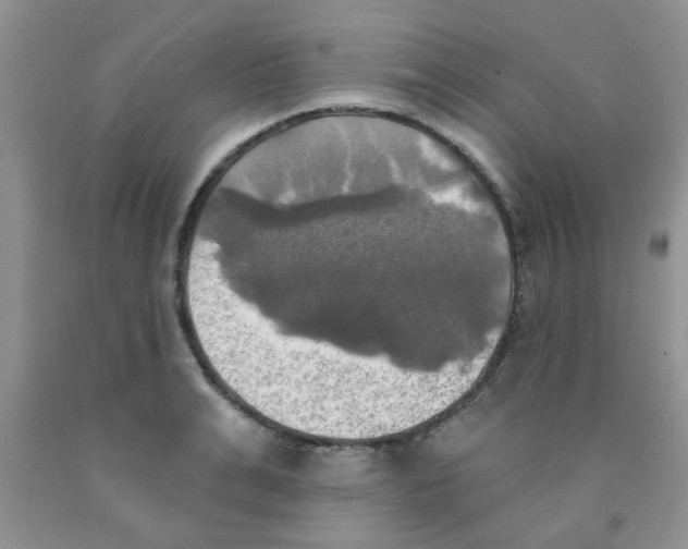 X0000091350991200709071235