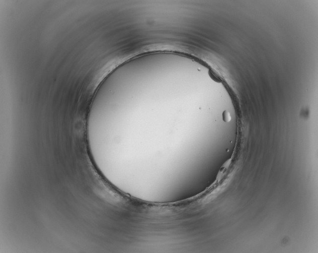 X0000091350993200709071235