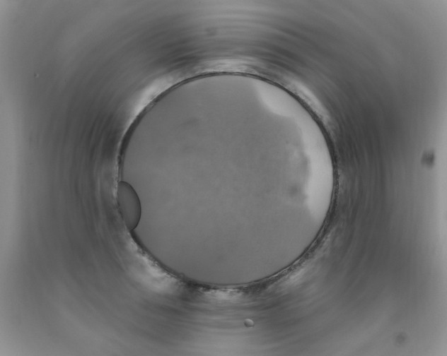 X0000091350994200709071235