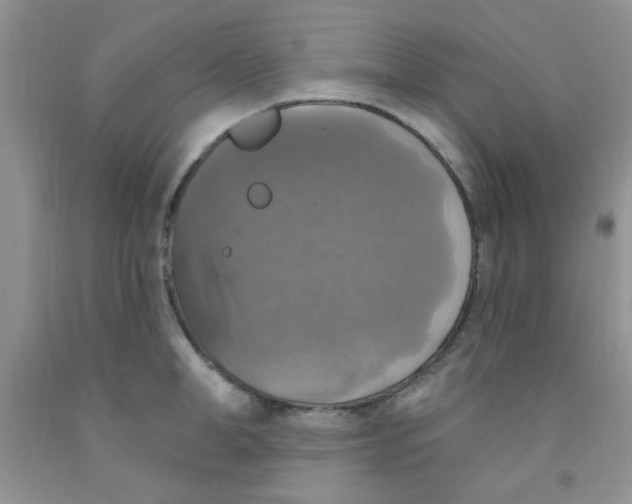 X0000091350998200709071235