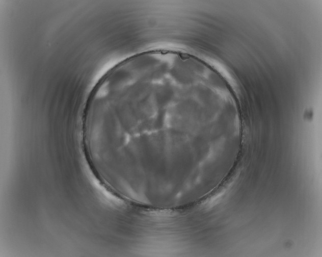 X0000091350999200709071235