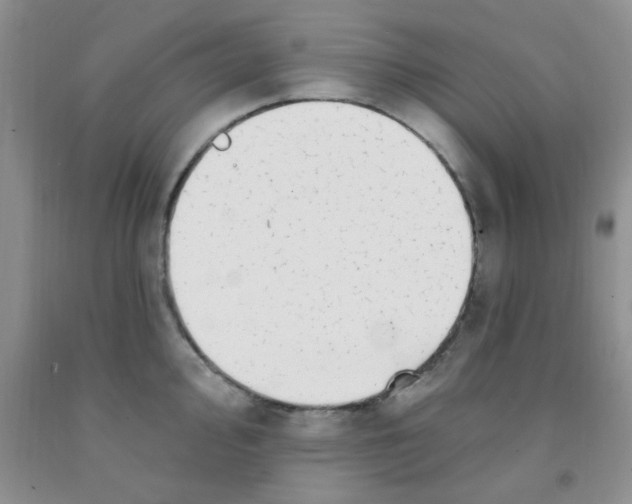 X0000091351000200709071235