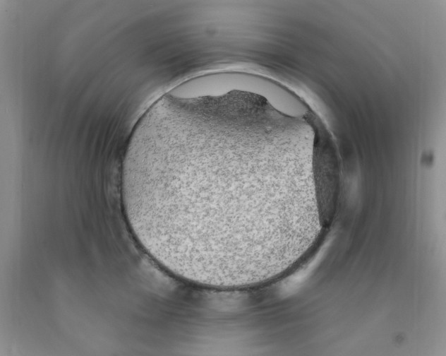 X0000091351001200709071235