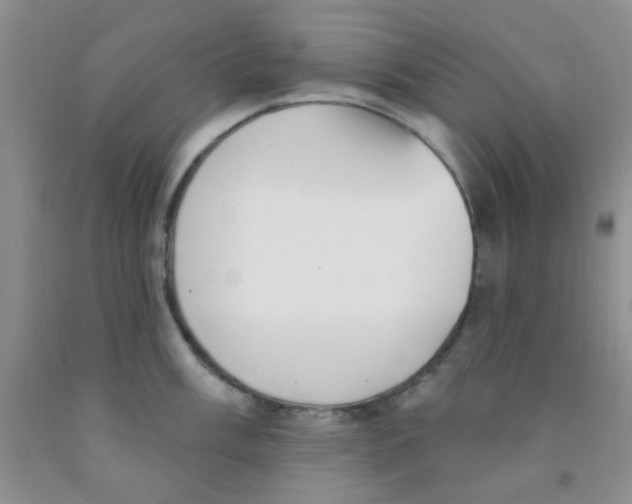 X0000091351003200709071235