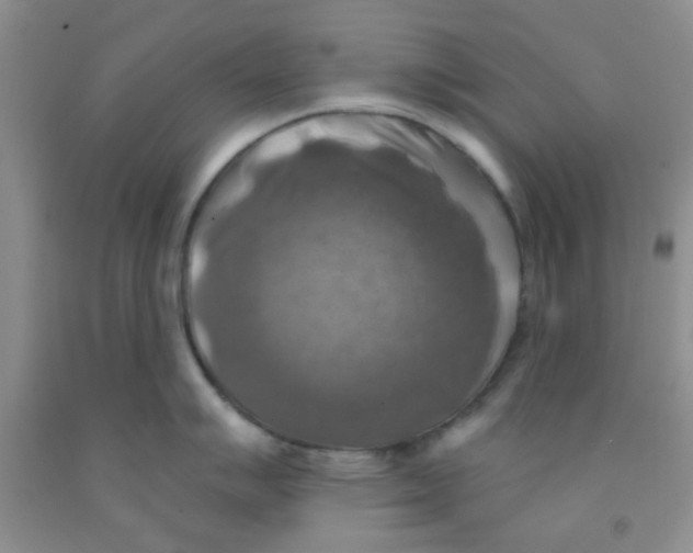 X0000091351007200709071235