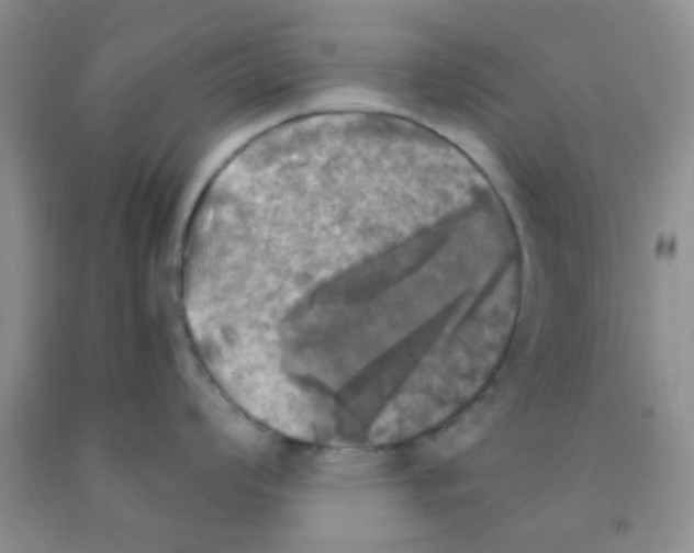 X0000091351008200709071235