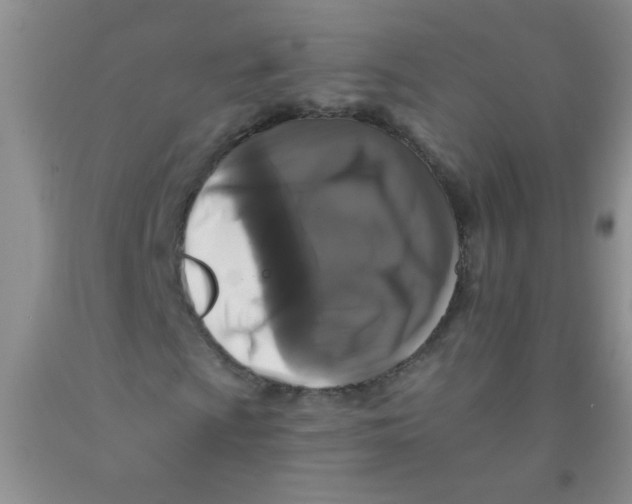 X0000091351009200709071234