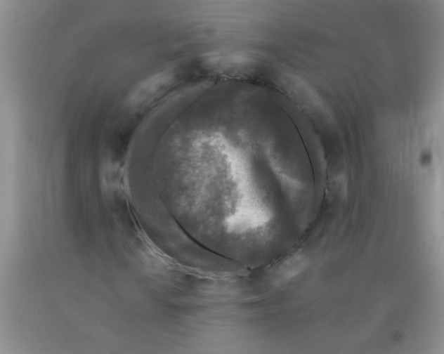 X0000091351010200709071234