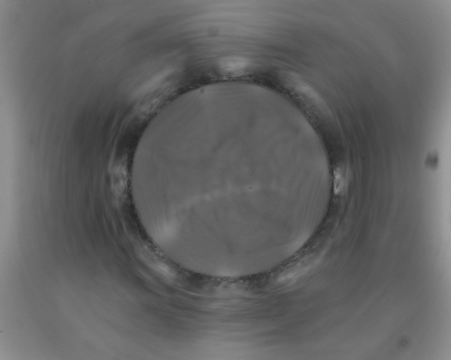 X0000091351011200709071234