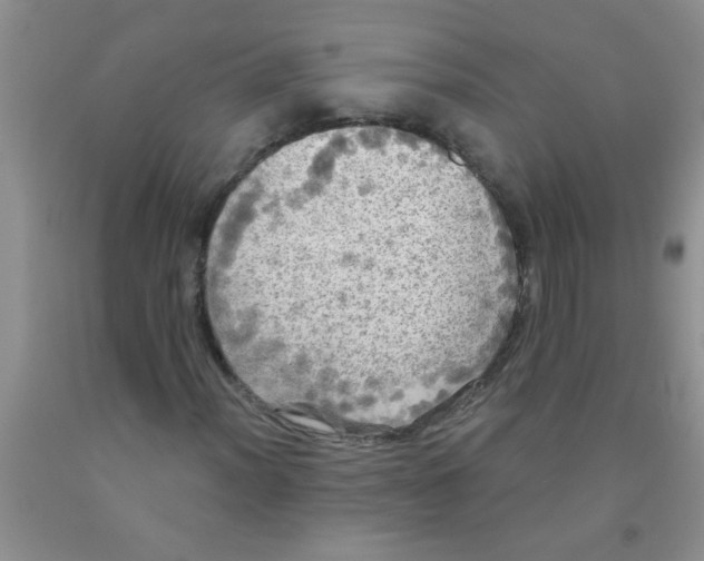 X0000091351012200709071234