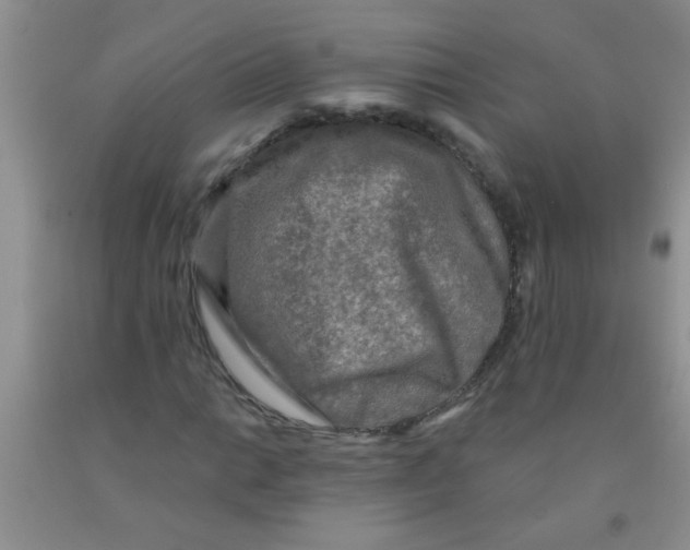 X0000091351014200709071234