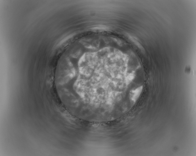 X0000091351015200709071234