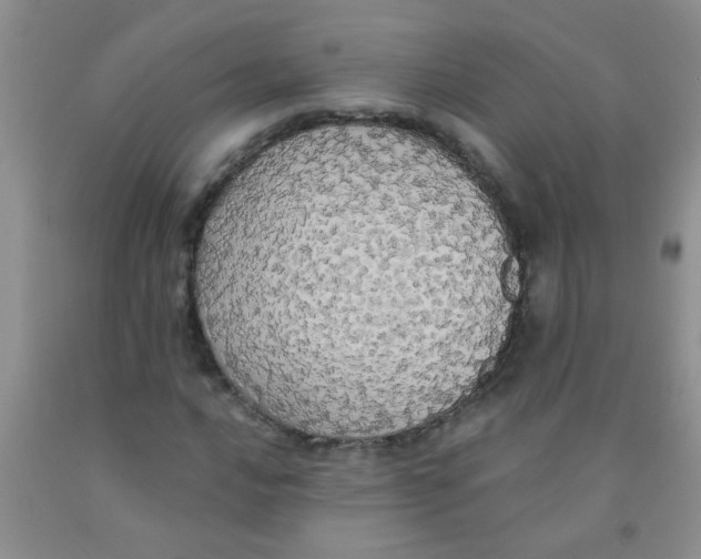 X0000091351016200709071234