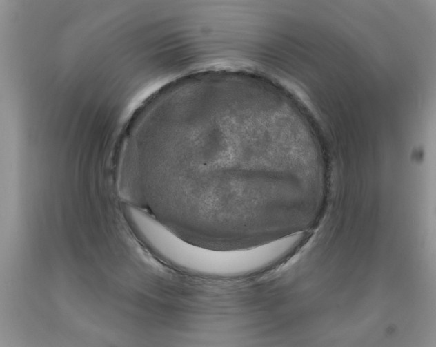 X0000091351018200709071234